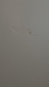 Damage