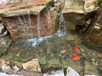 Peaceful and relaxing.