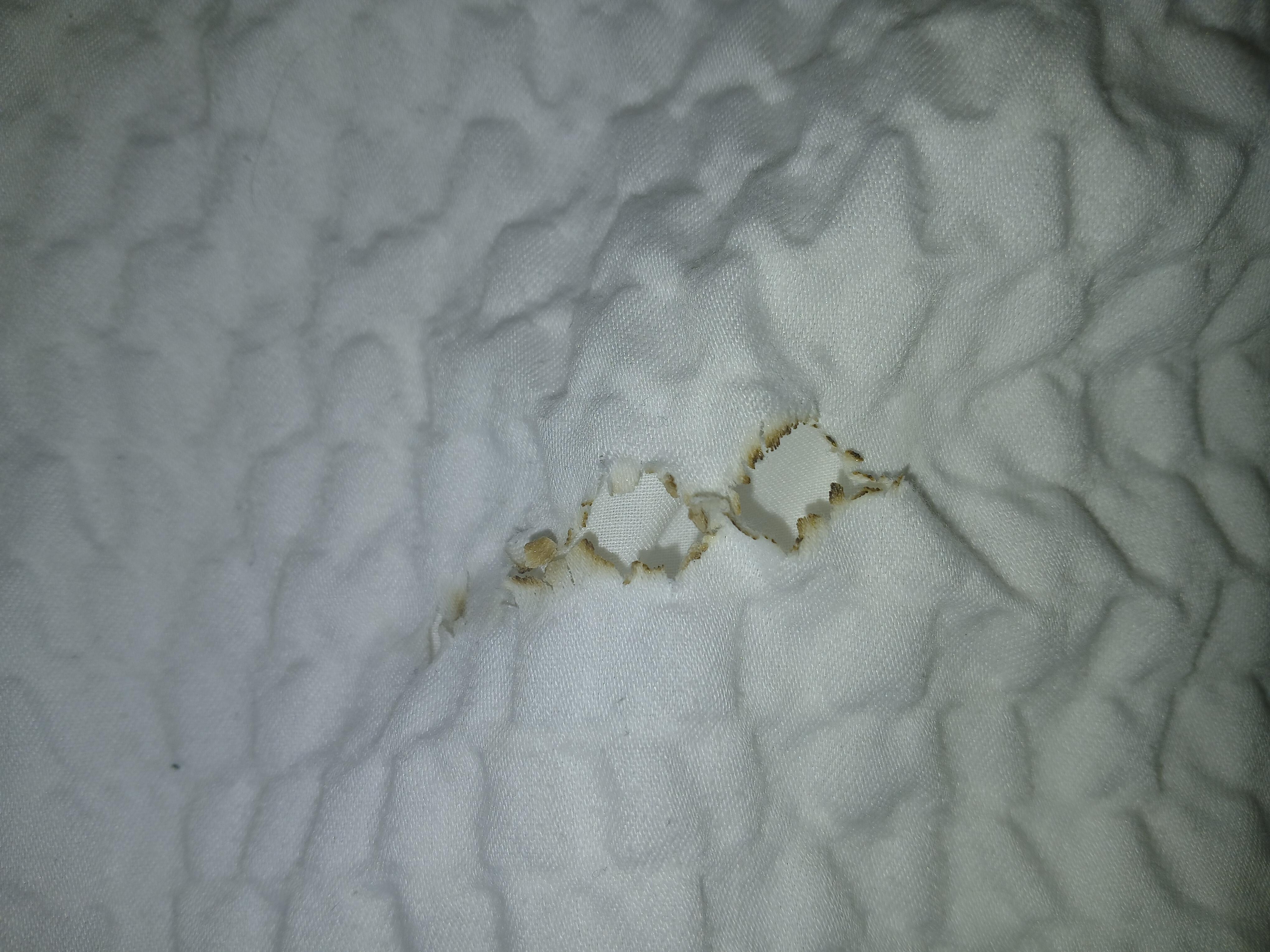 Blanket 