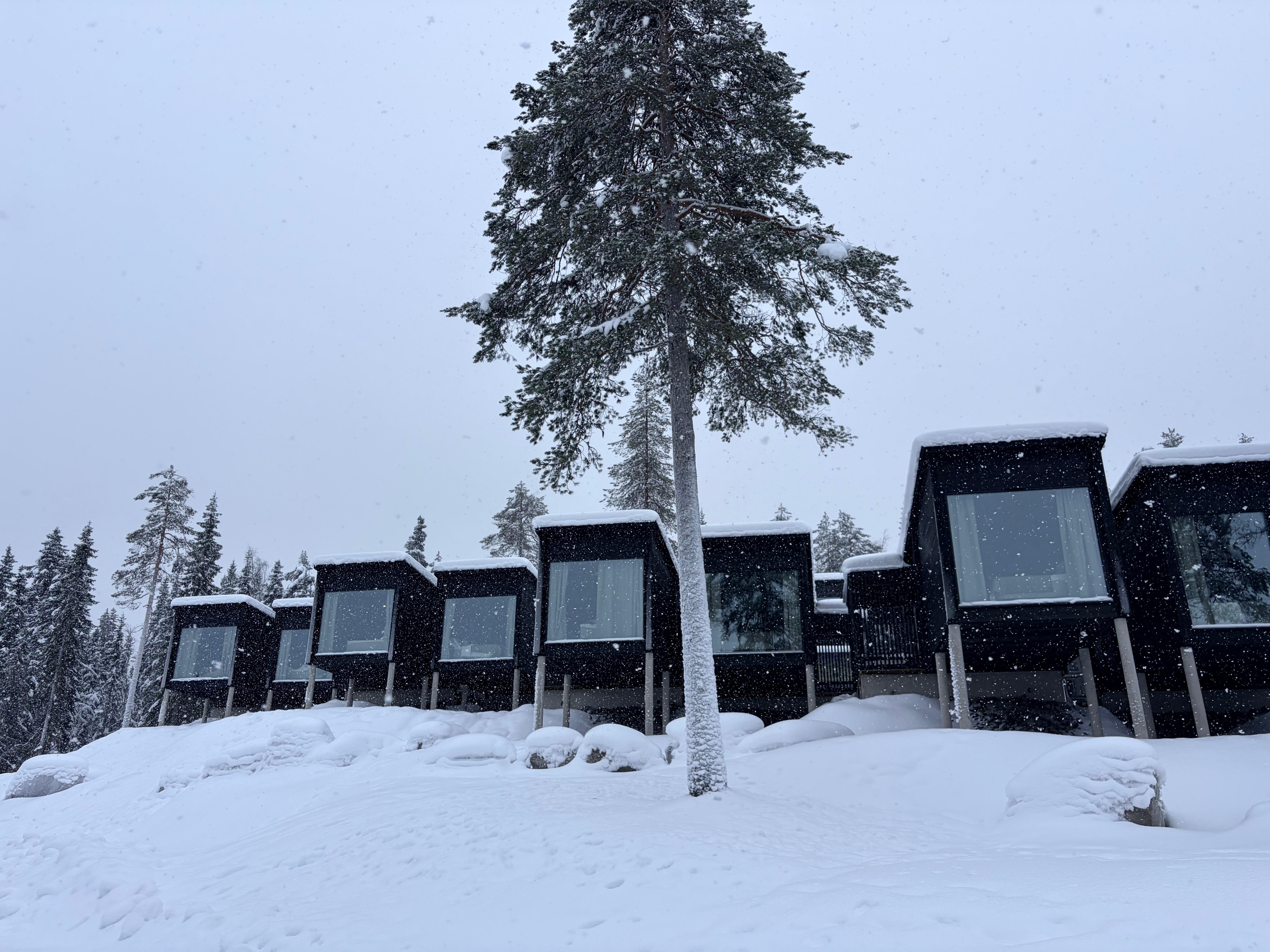 Chaque chambre est un petit chalet individuel orienté vers le nord, idéal pour apercevoir des aurores boréales… si le temps le permet
