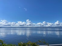 View from back porch