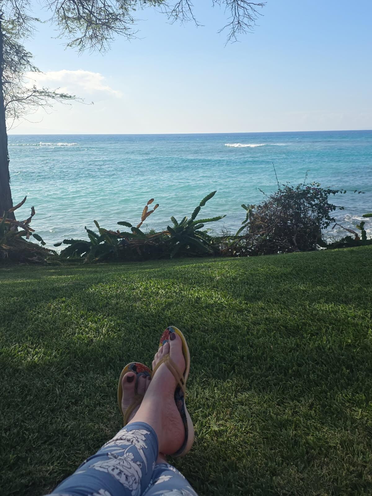 A lovely place to relax and listen to the ocean