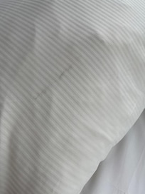 visible stains on the pillowcases