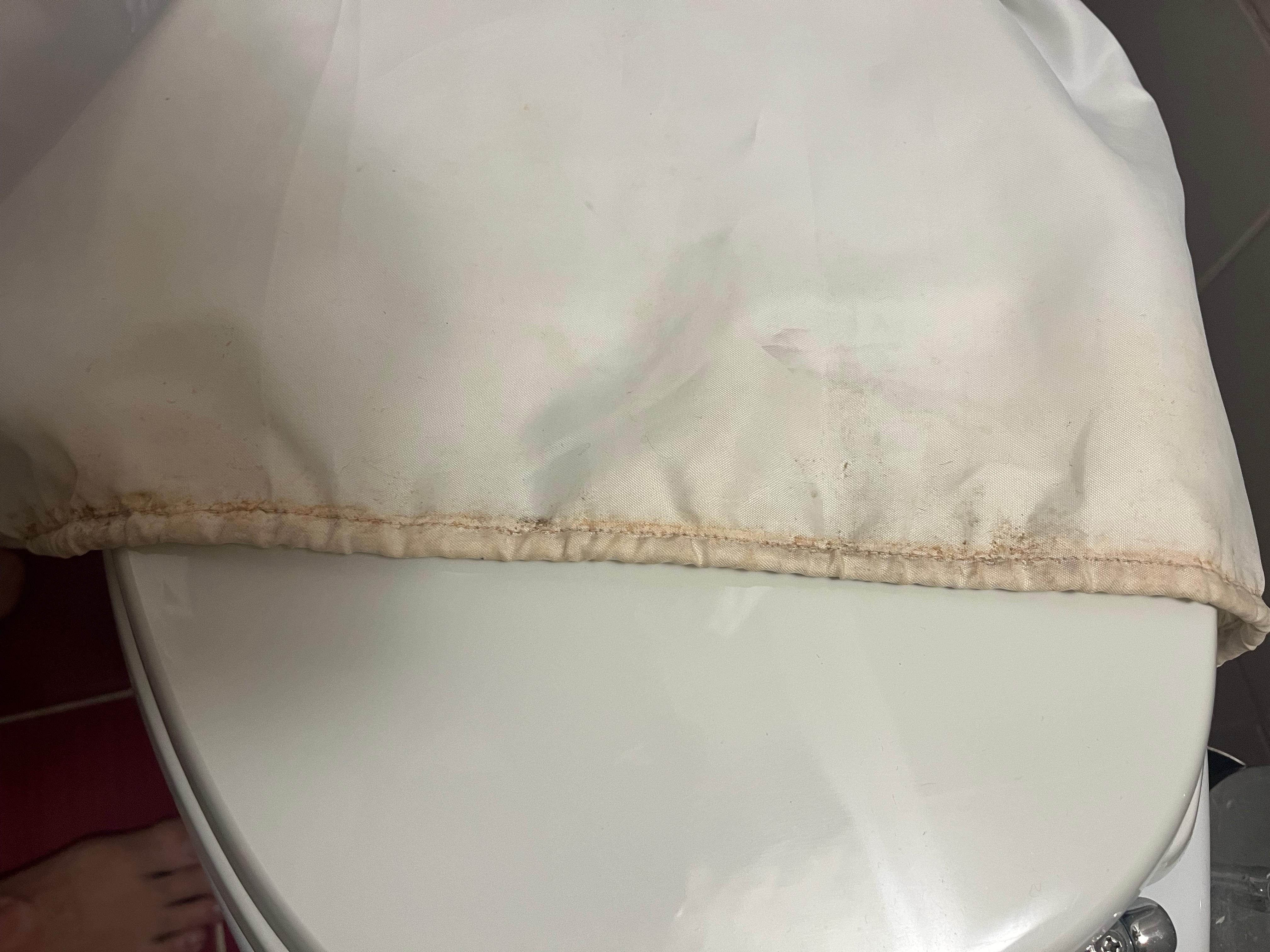 Moldy shower curtain