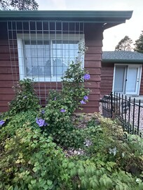 Nice plants throughout the property