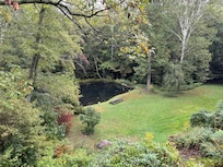 Pond