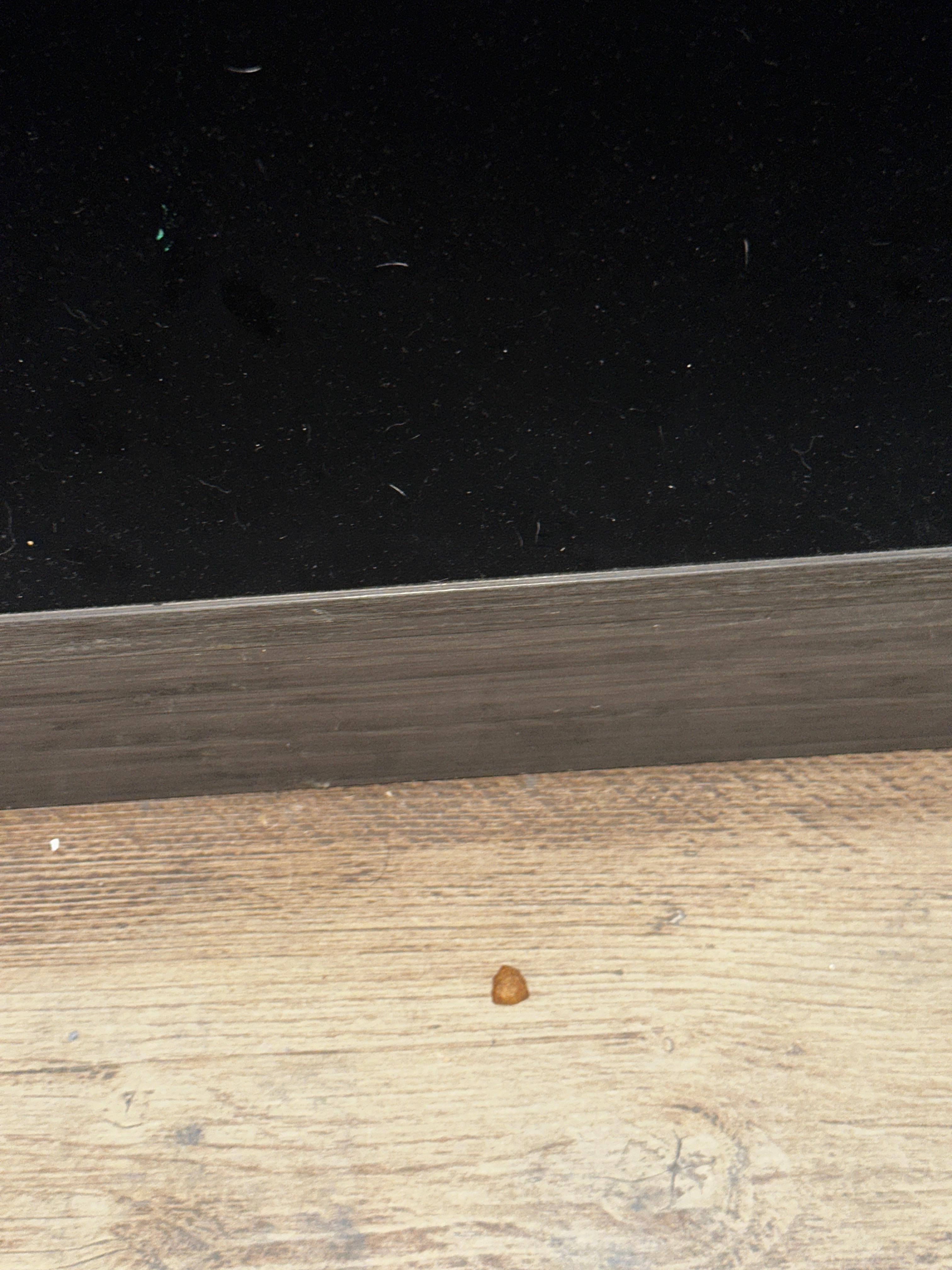 Dog kibble