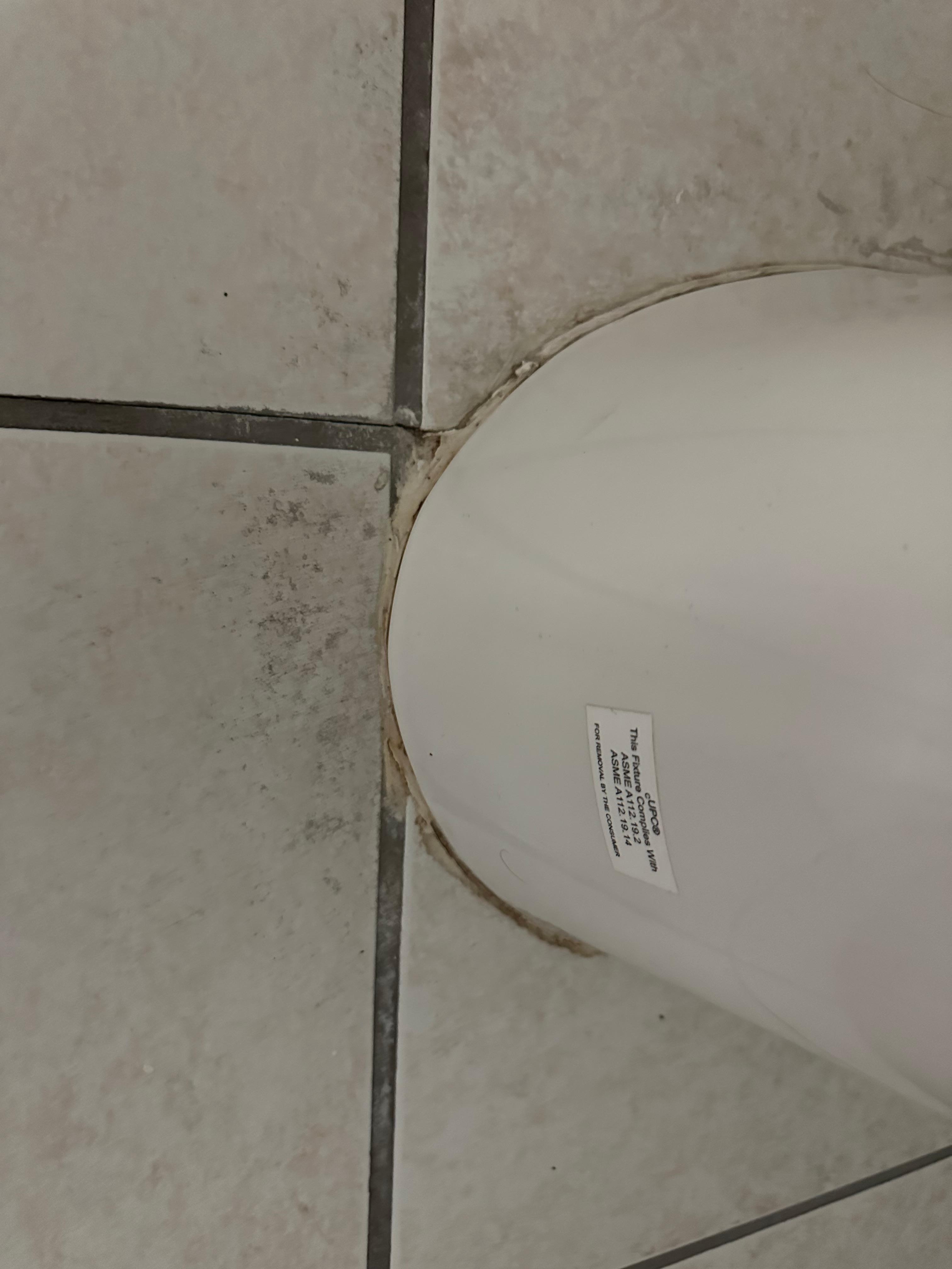Mold/dirt around bathroom toilet