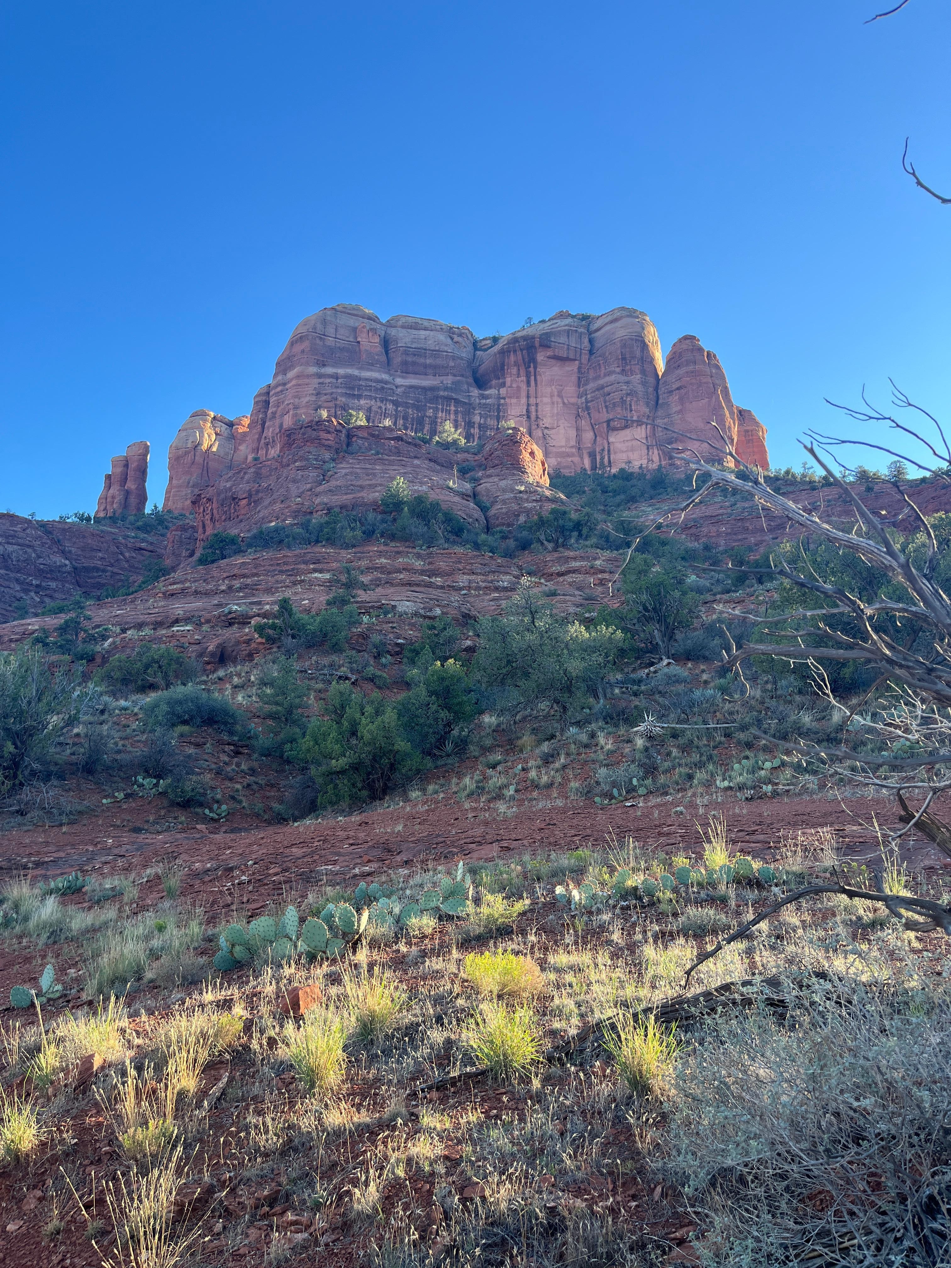Cathedral Rock