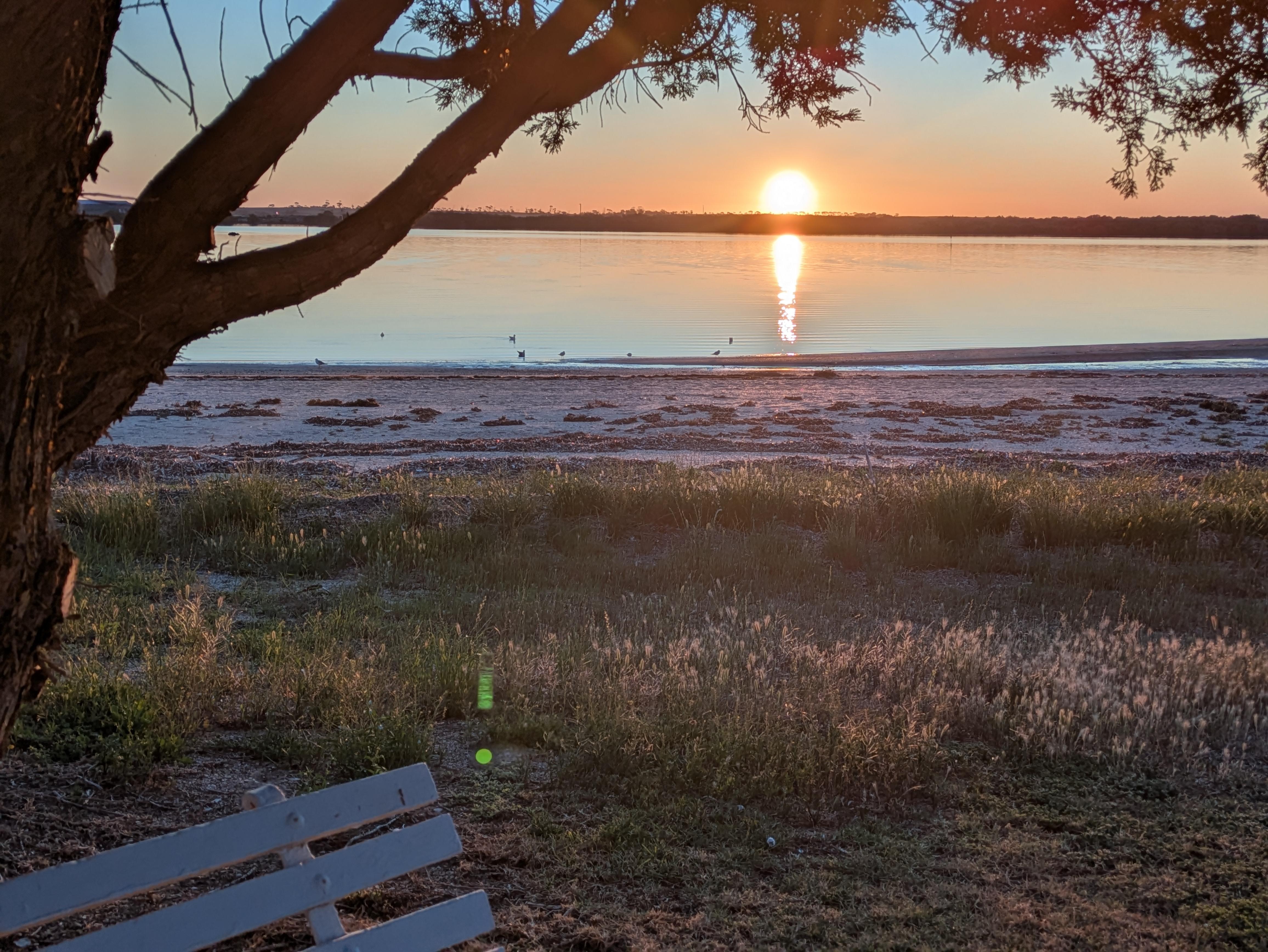 View from the front porch. 