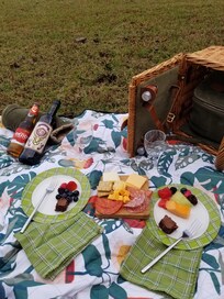 Peaceful picnic