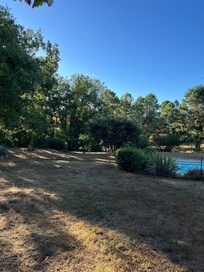 The beautiful garden