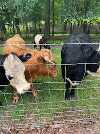 Probably my favorite part