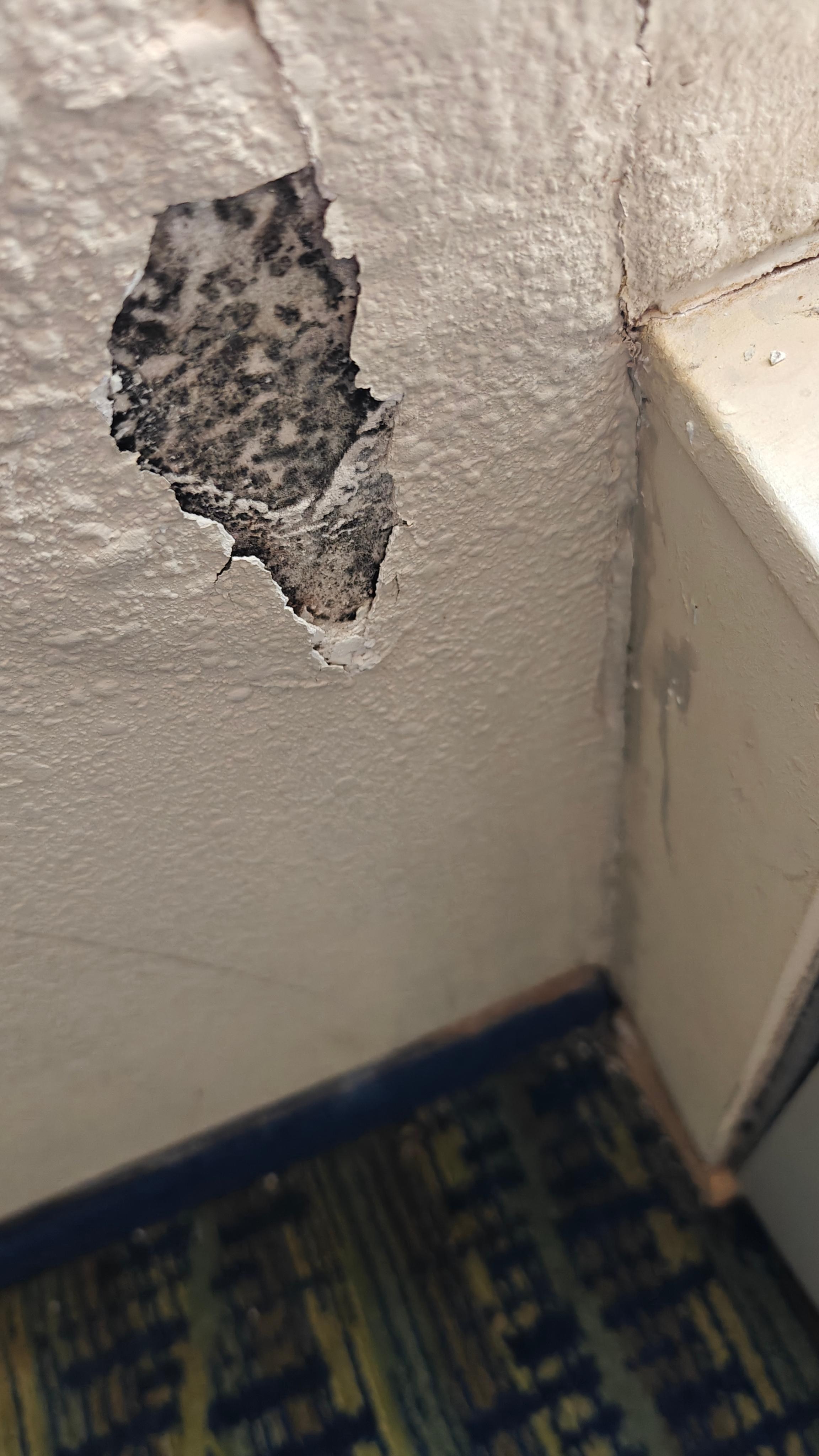 The window curtain had pushpins in it to keep closed. I'm guessing hoping that someone didn't open the curtain and find the mold 