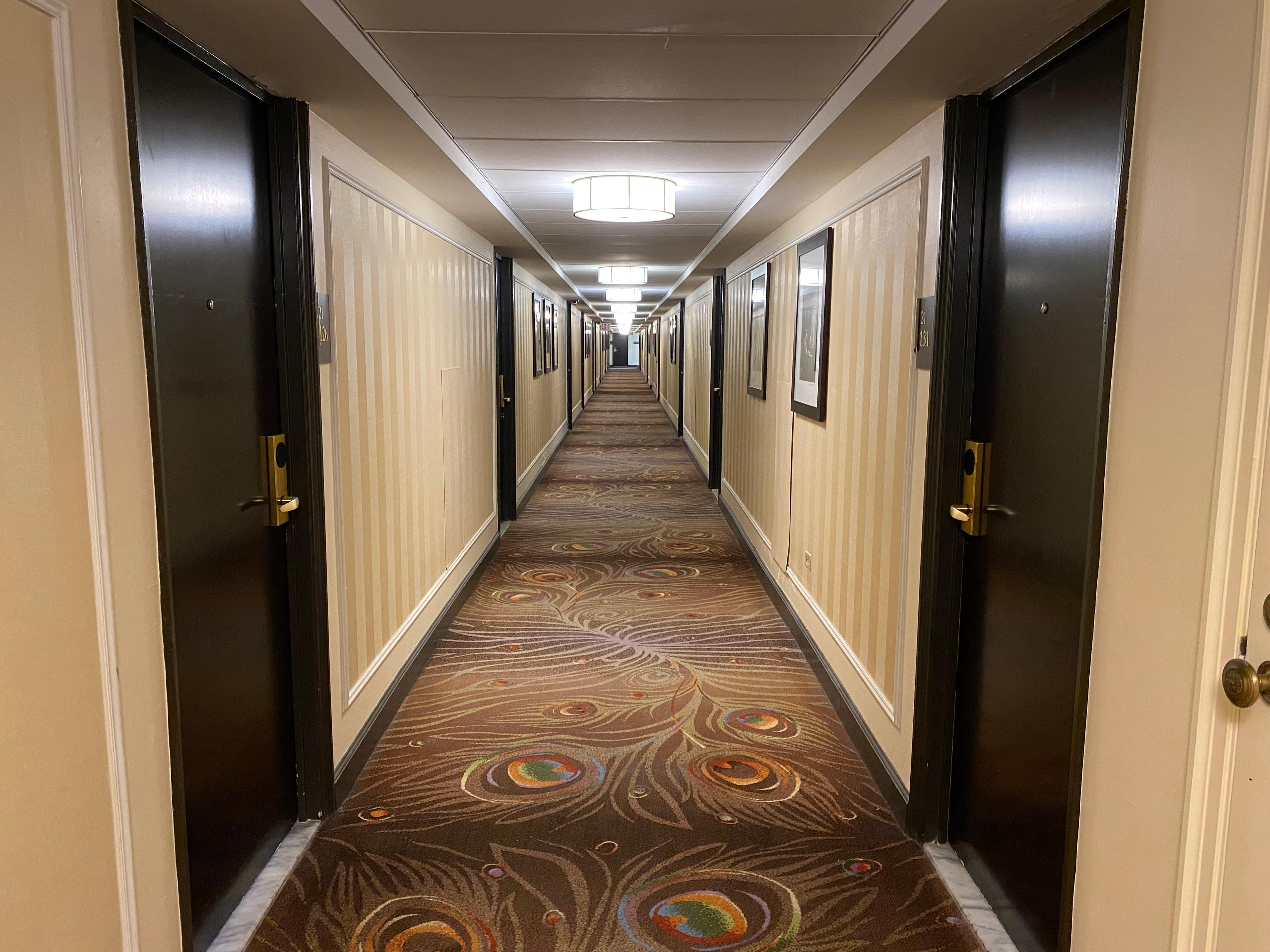 Hallway on the 21st Floor