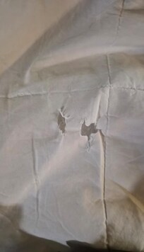 Bed covers and sheets ripped