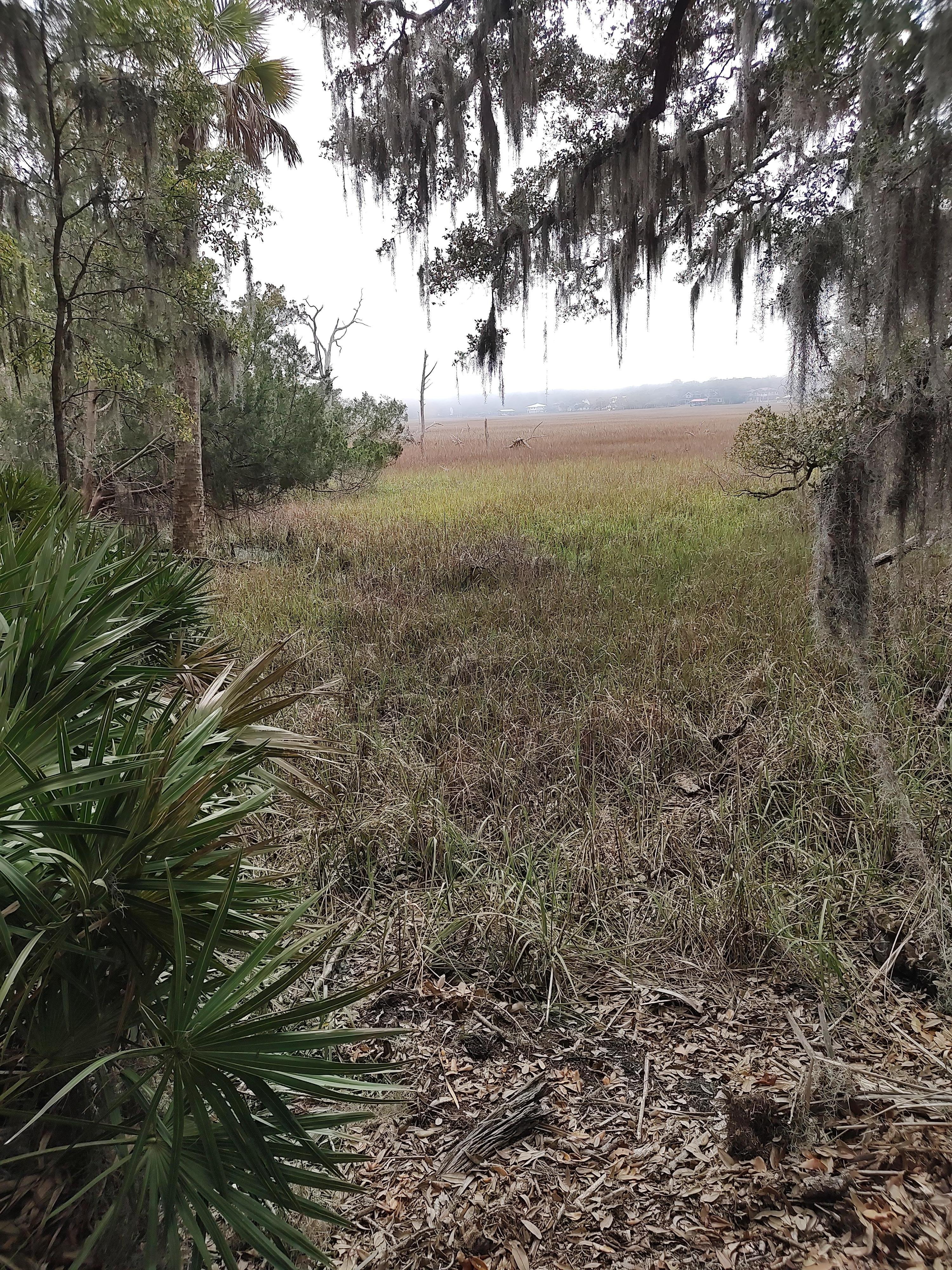 A lot of hiking at fort clinch. A neat little playground/picnic area for families. Lots of wildlife!