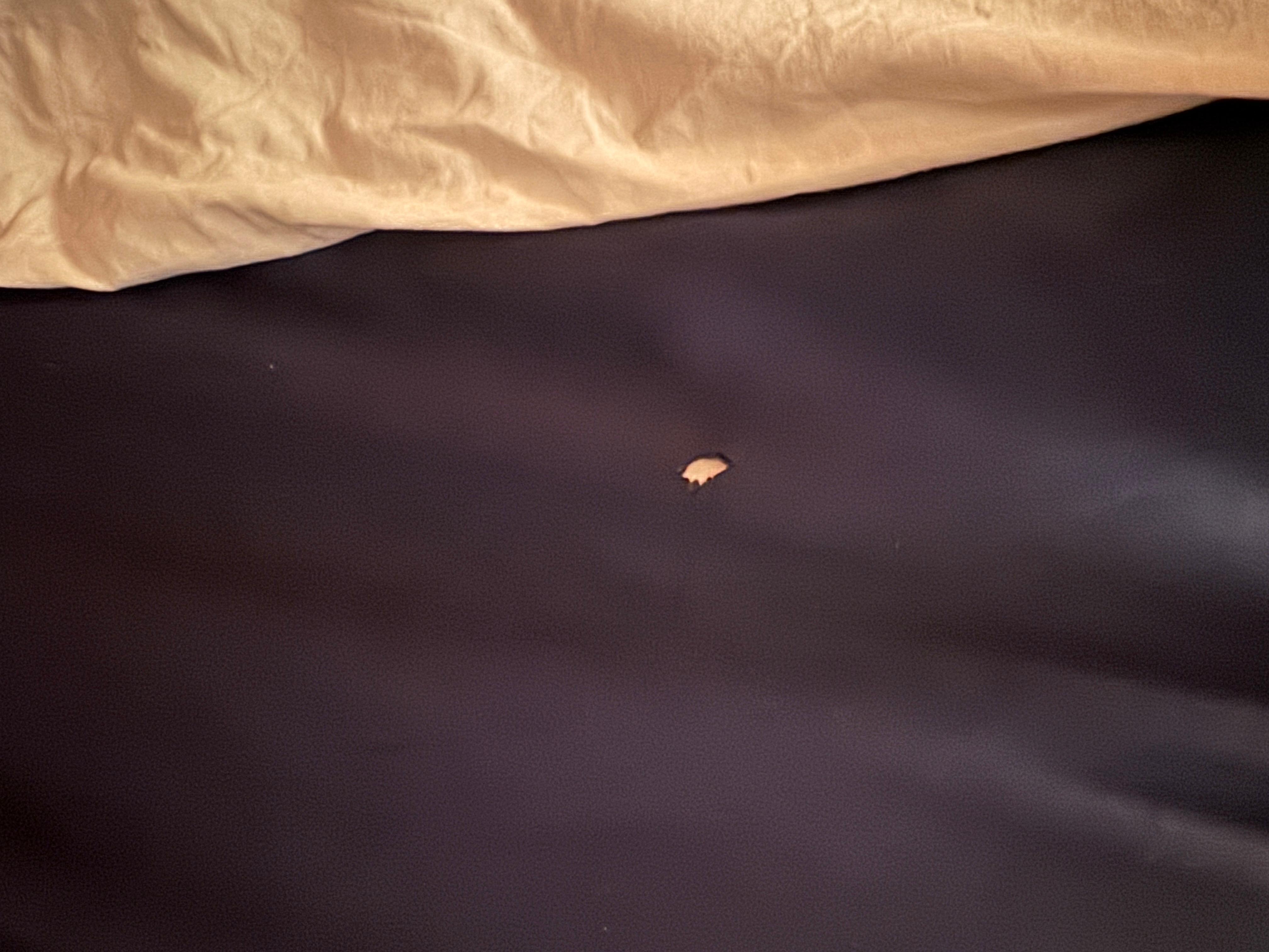 Cigarette burn in the quilt 