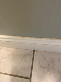 Moldy bathroom