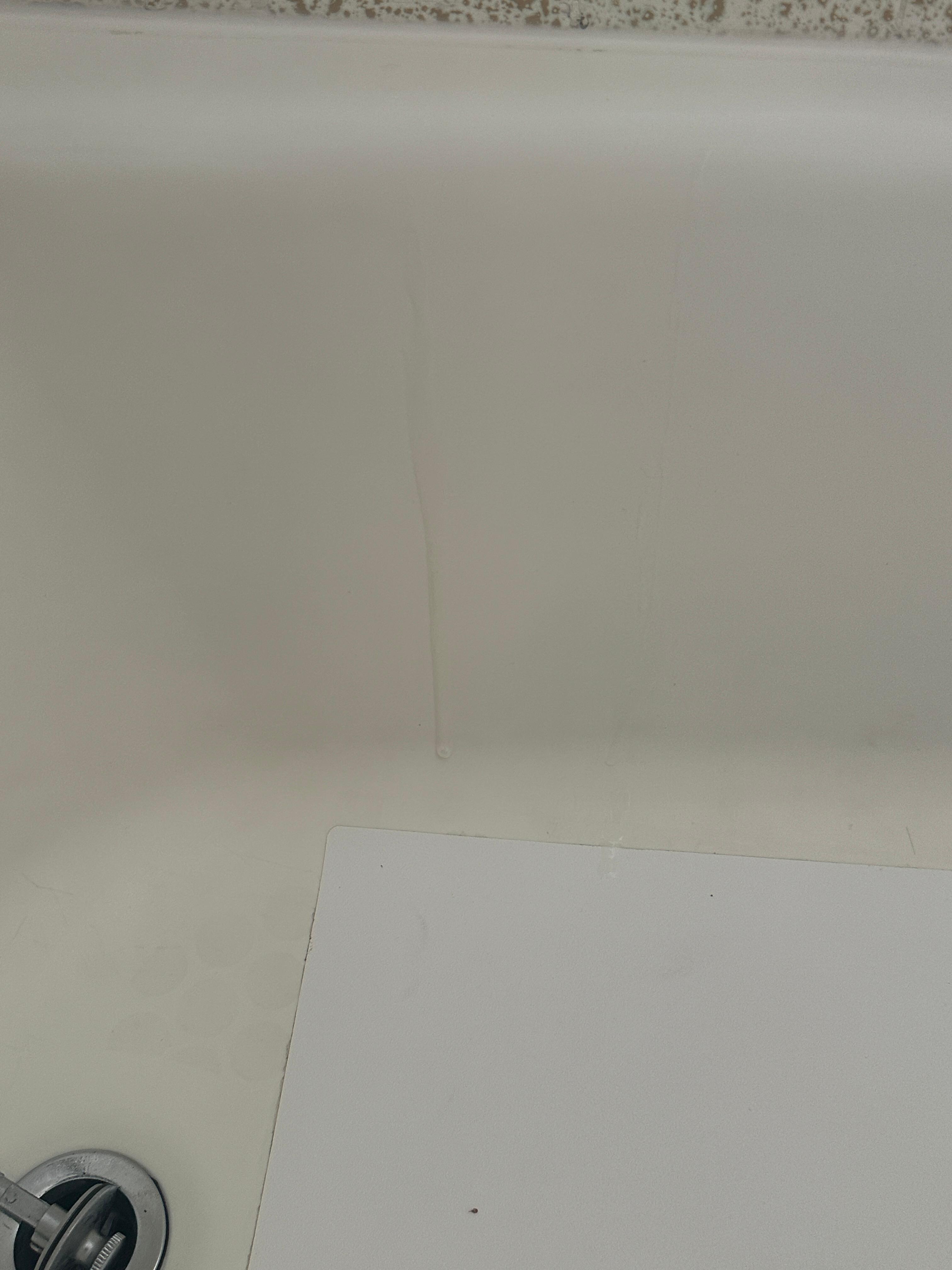 Stuff in the tub where you could tell they didn’t clean it 