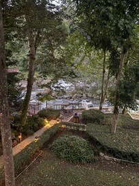 The view from the room