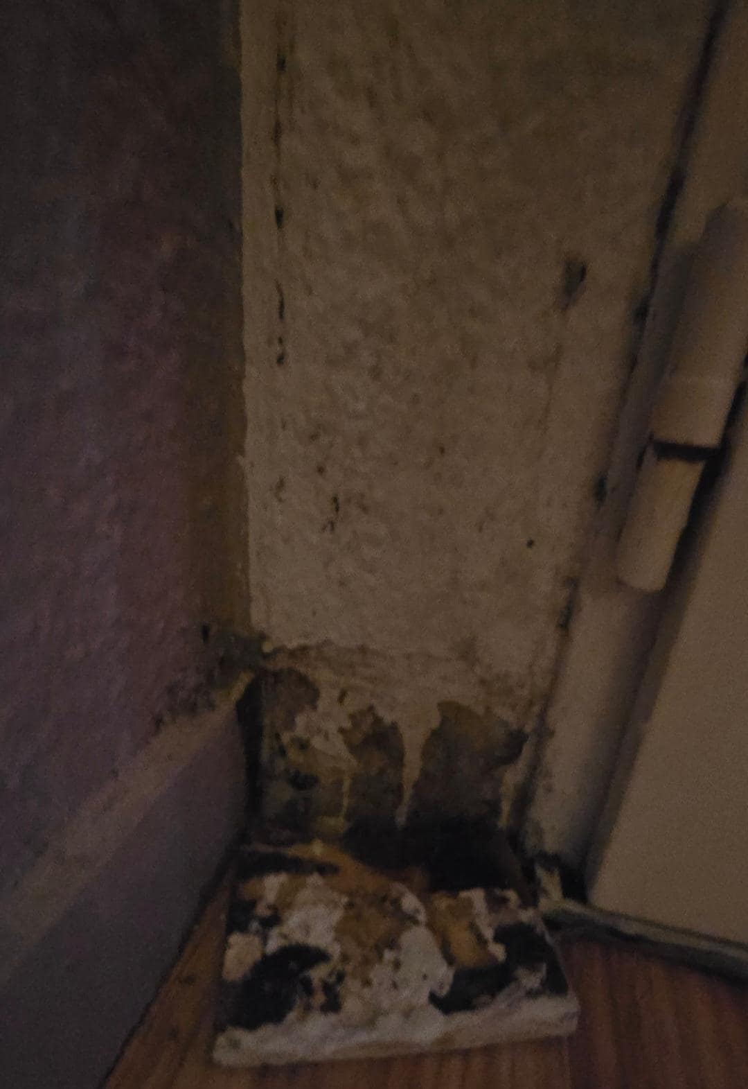 Damp in corner of room