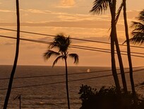 Humpback calf breaching