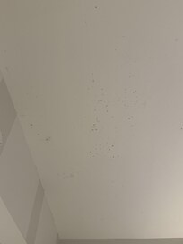 MORE MOLD INSIDE THE ROMM