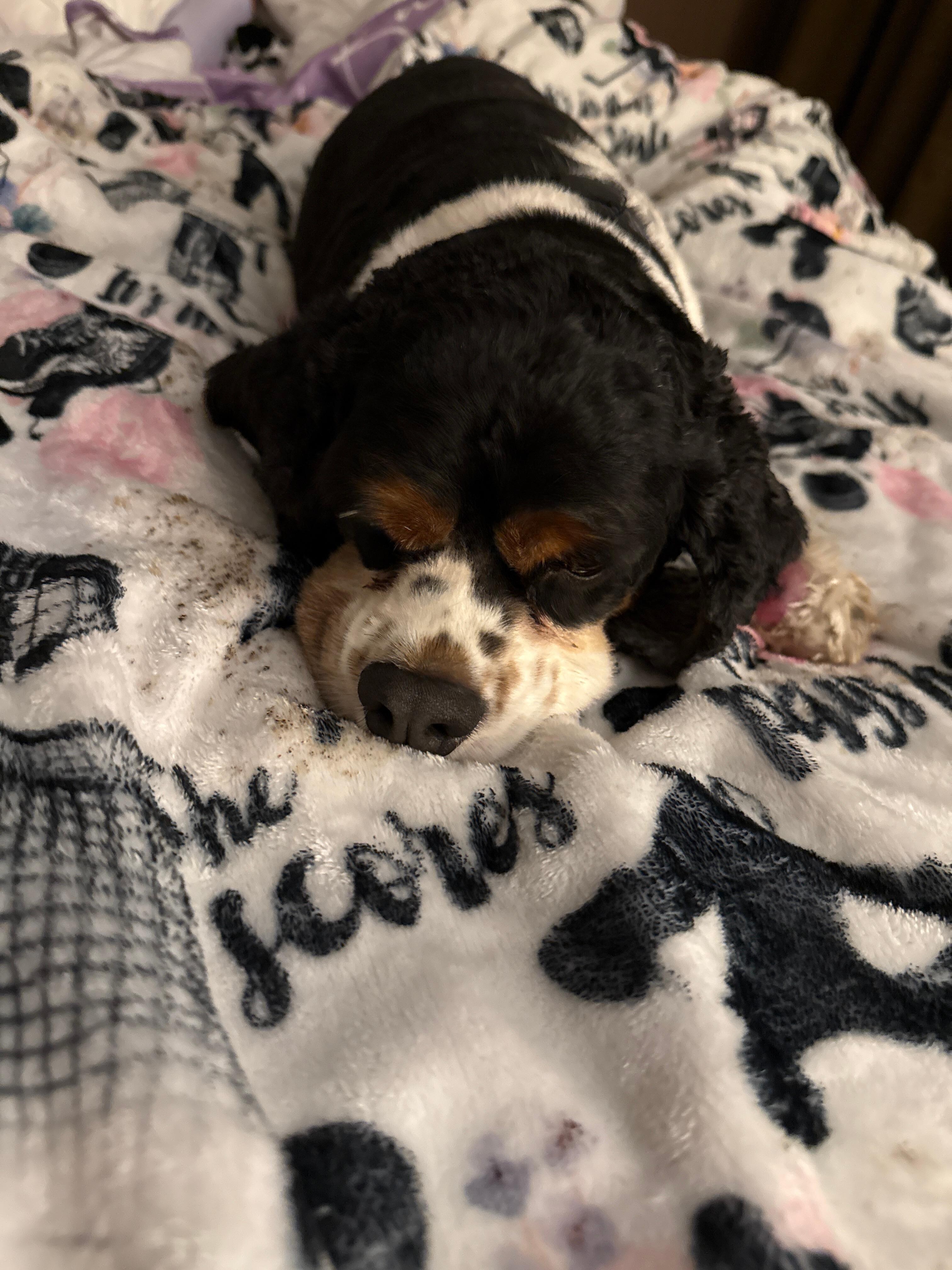 Charlie enjoyed his stay!
