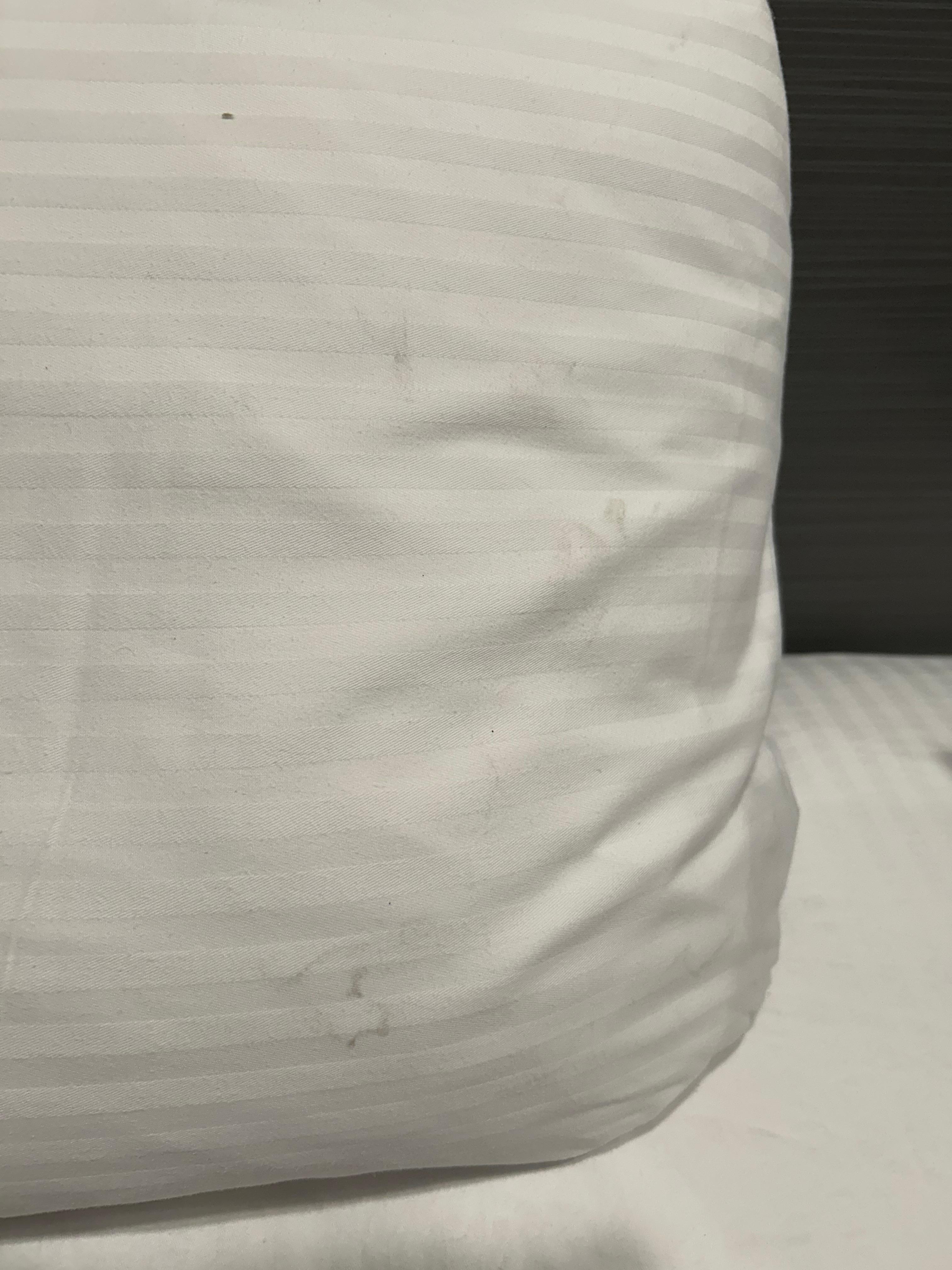 Dirt and makeup or oil on pillow covers. Not stains.