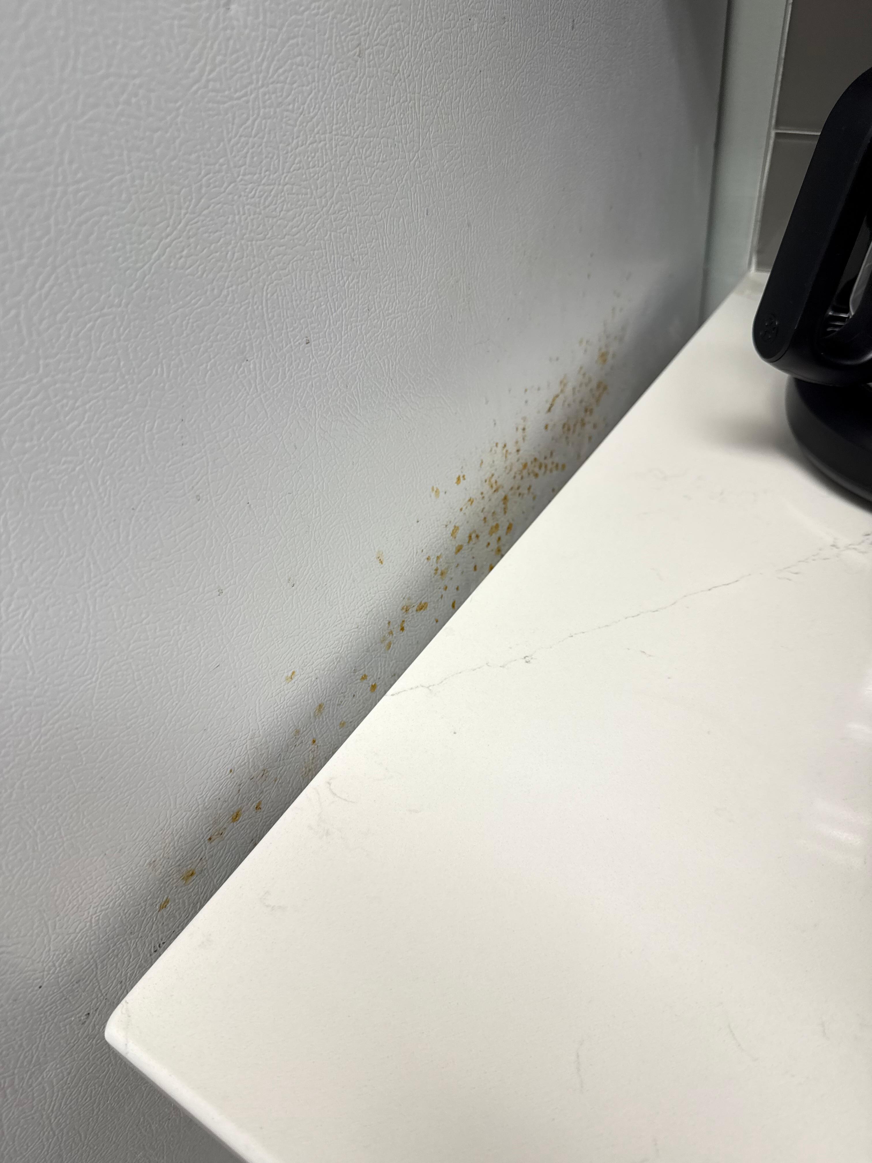 Dirty fridge