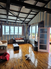 Lovely large interior space and one happy dog