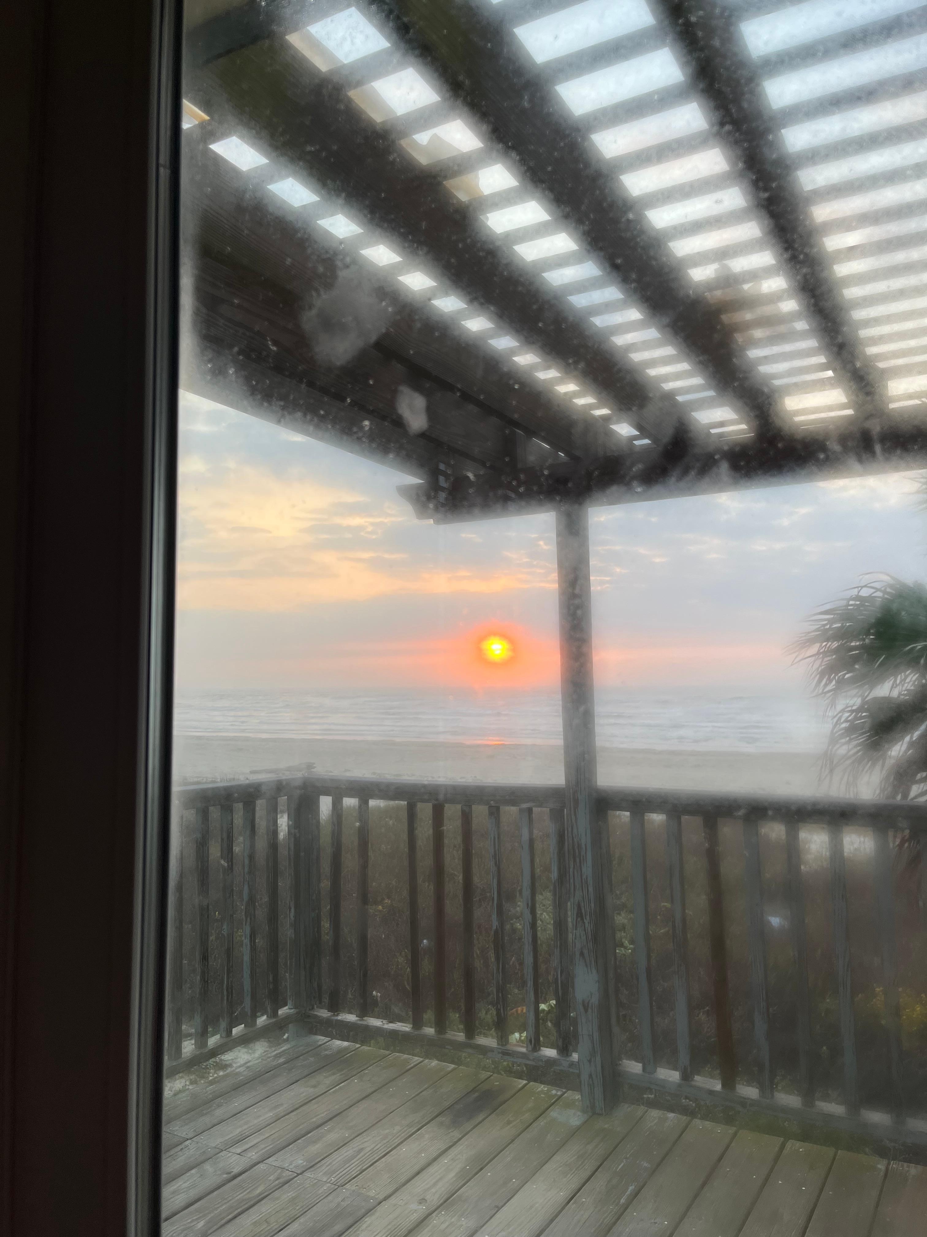 The morning view from the living room 