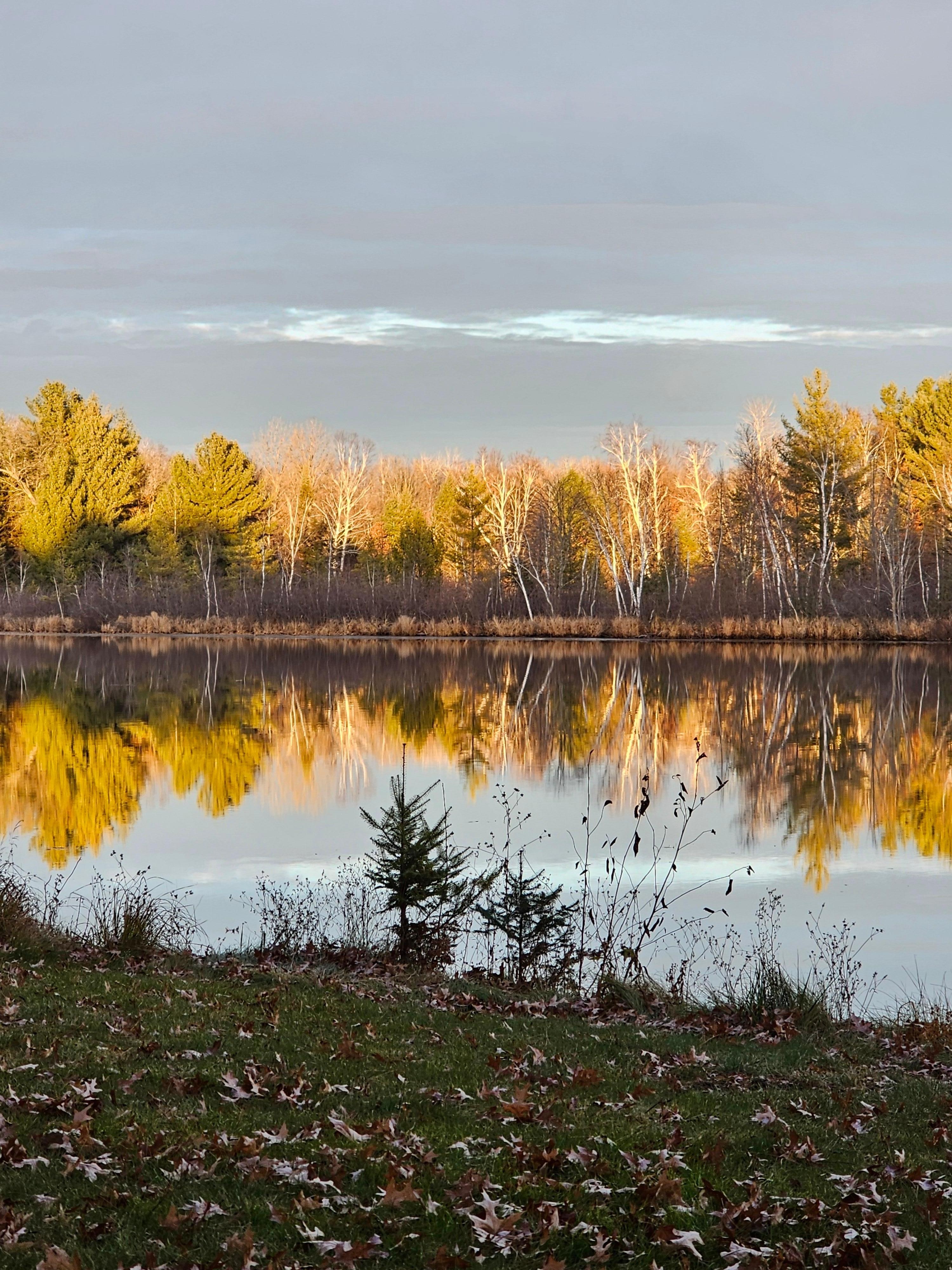 Taken from a chair in the back yard!