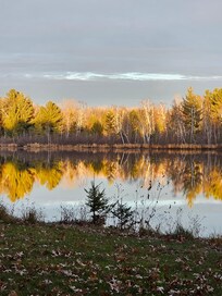 Taken from a chair in the back yard!