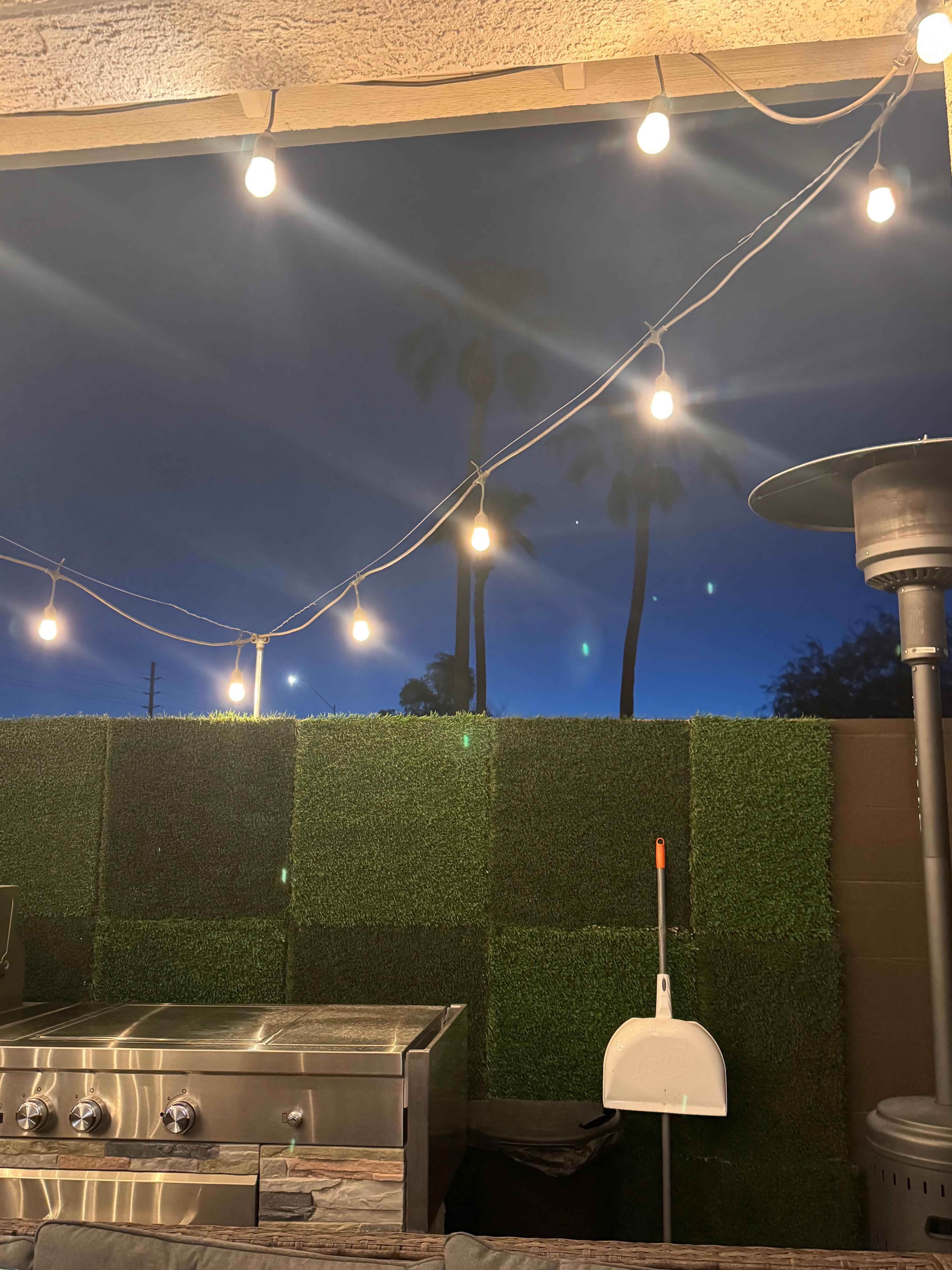 Backyard as the sun started to rise. Nice and calm. 