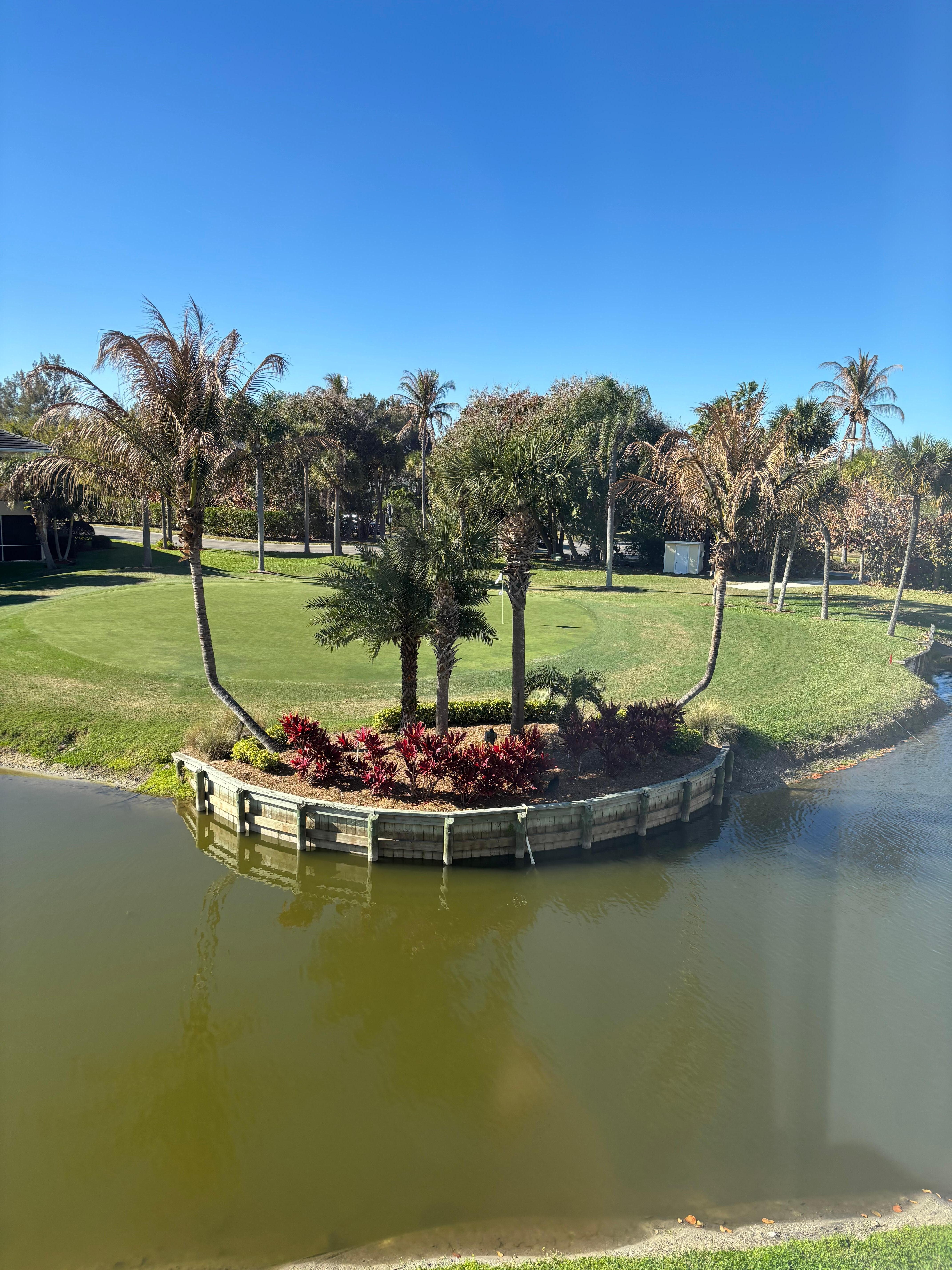 From our Condo window