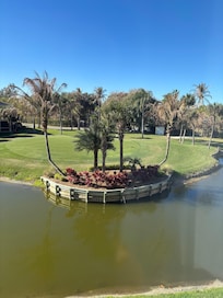 From our Condo window