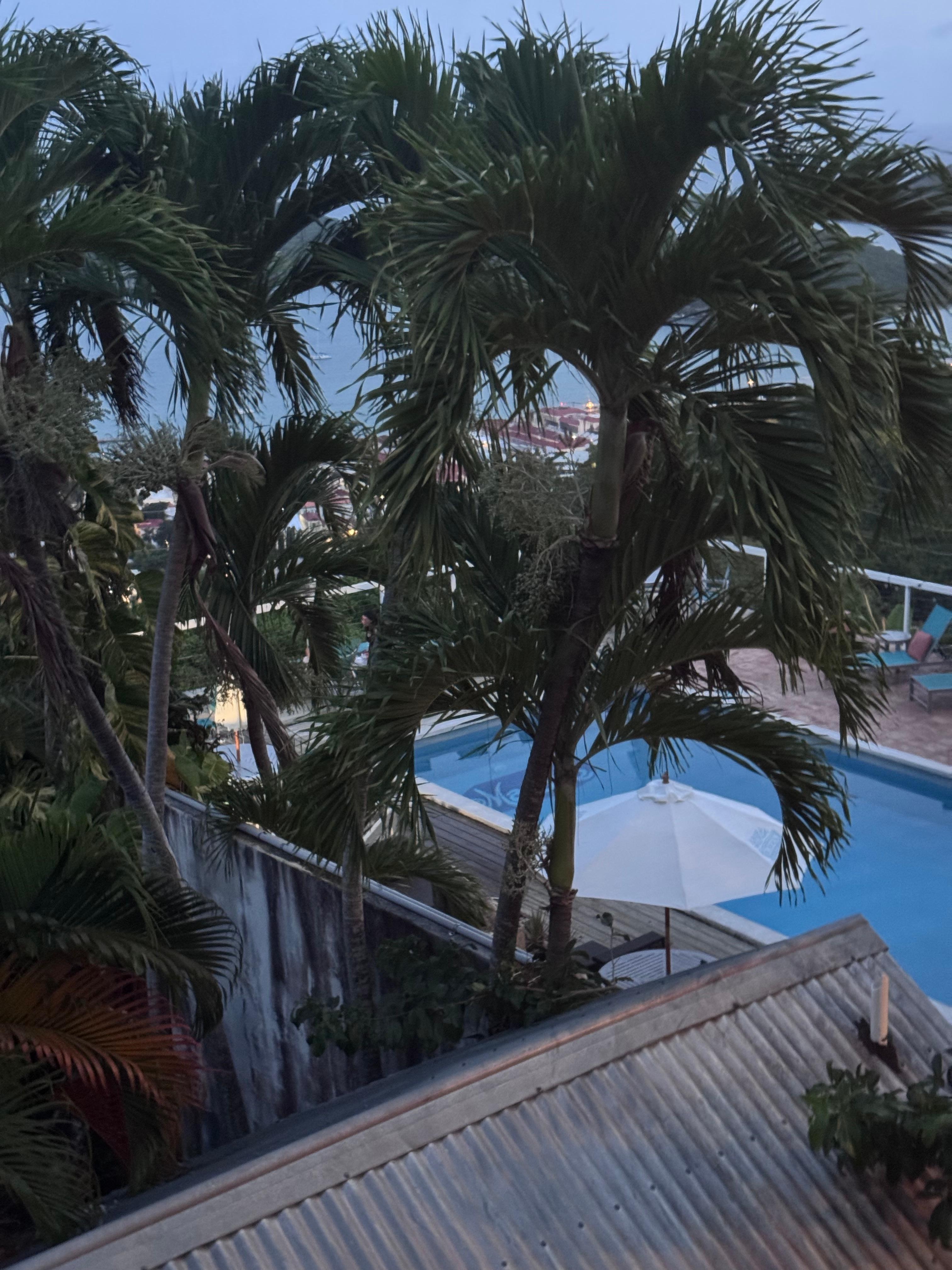 View of the pool