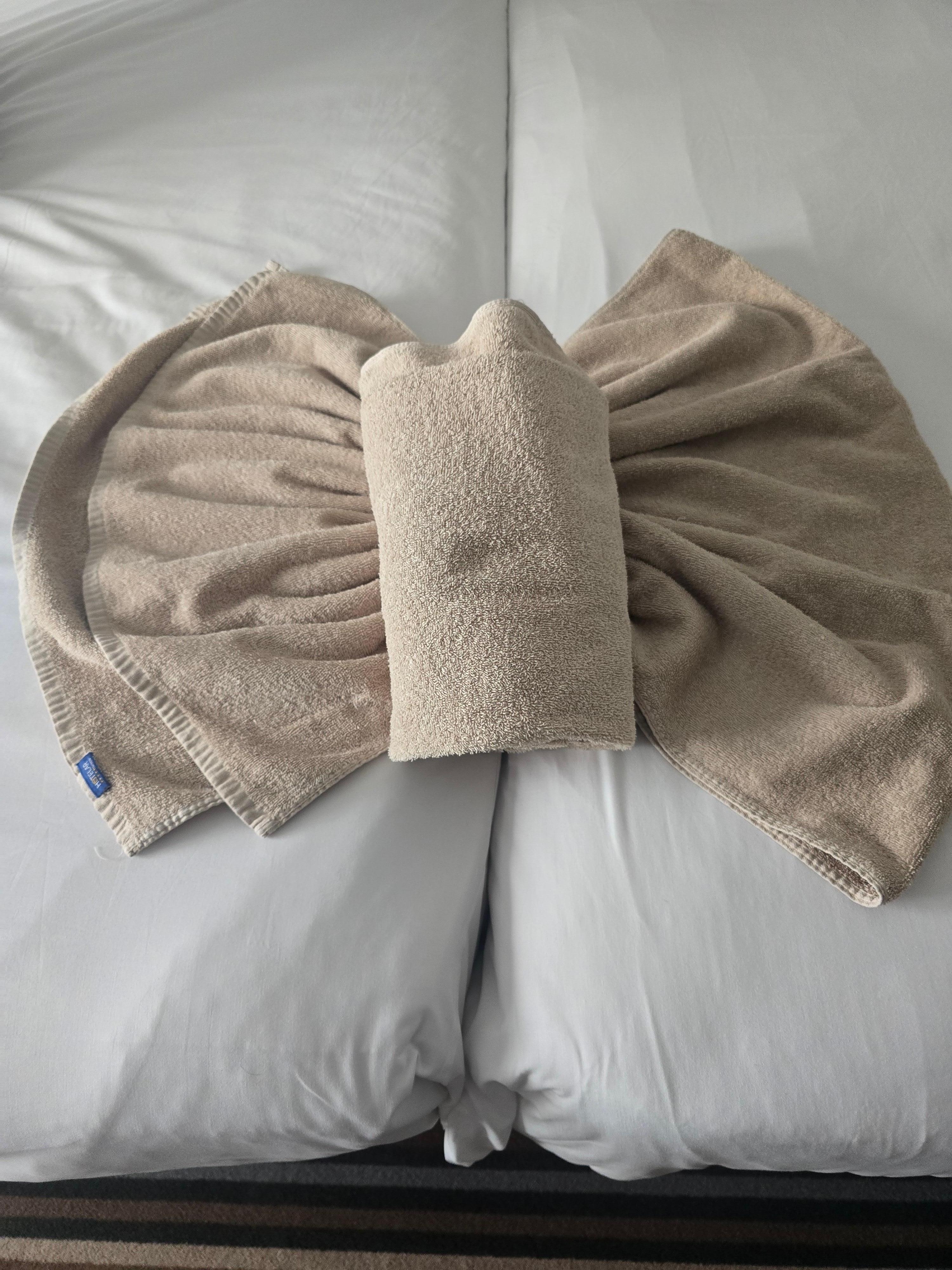 När städerskan gått igenom rummet