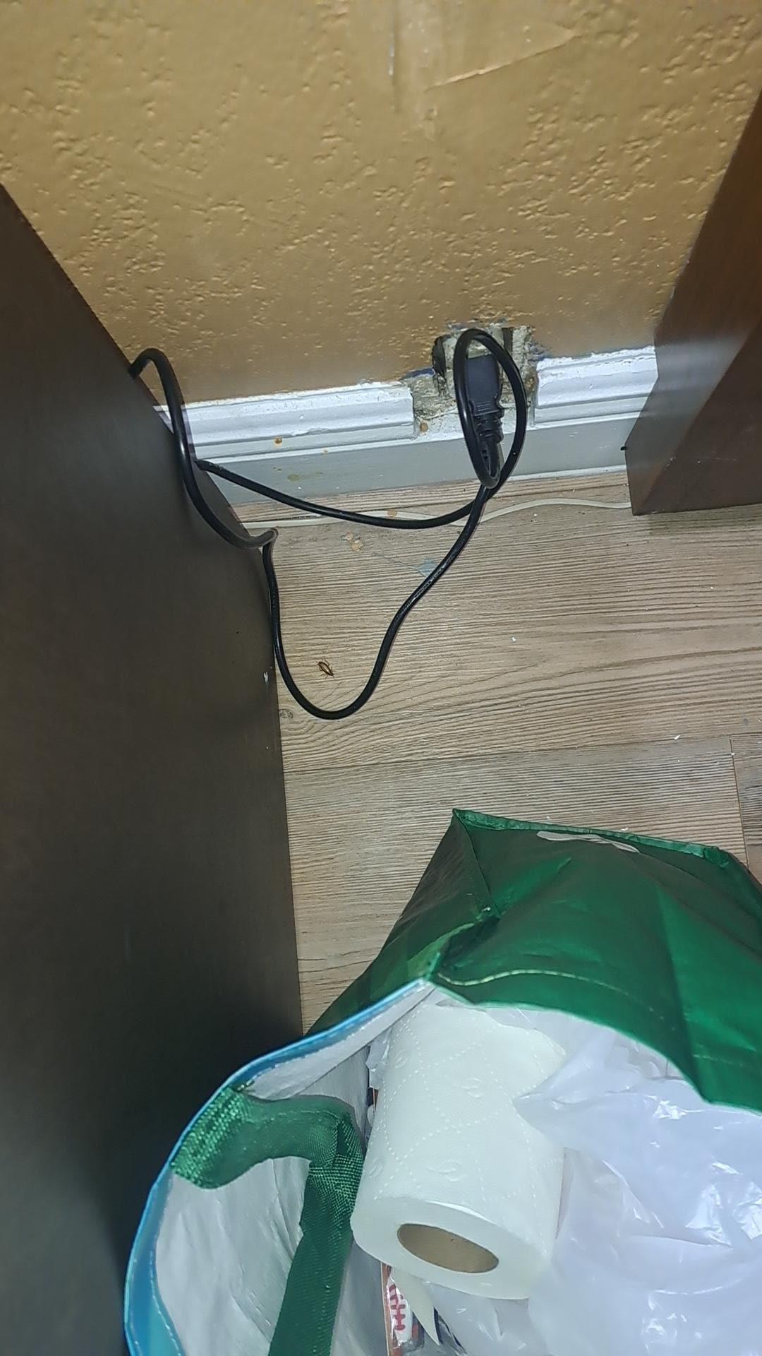 Roach on floor and exposed plug 