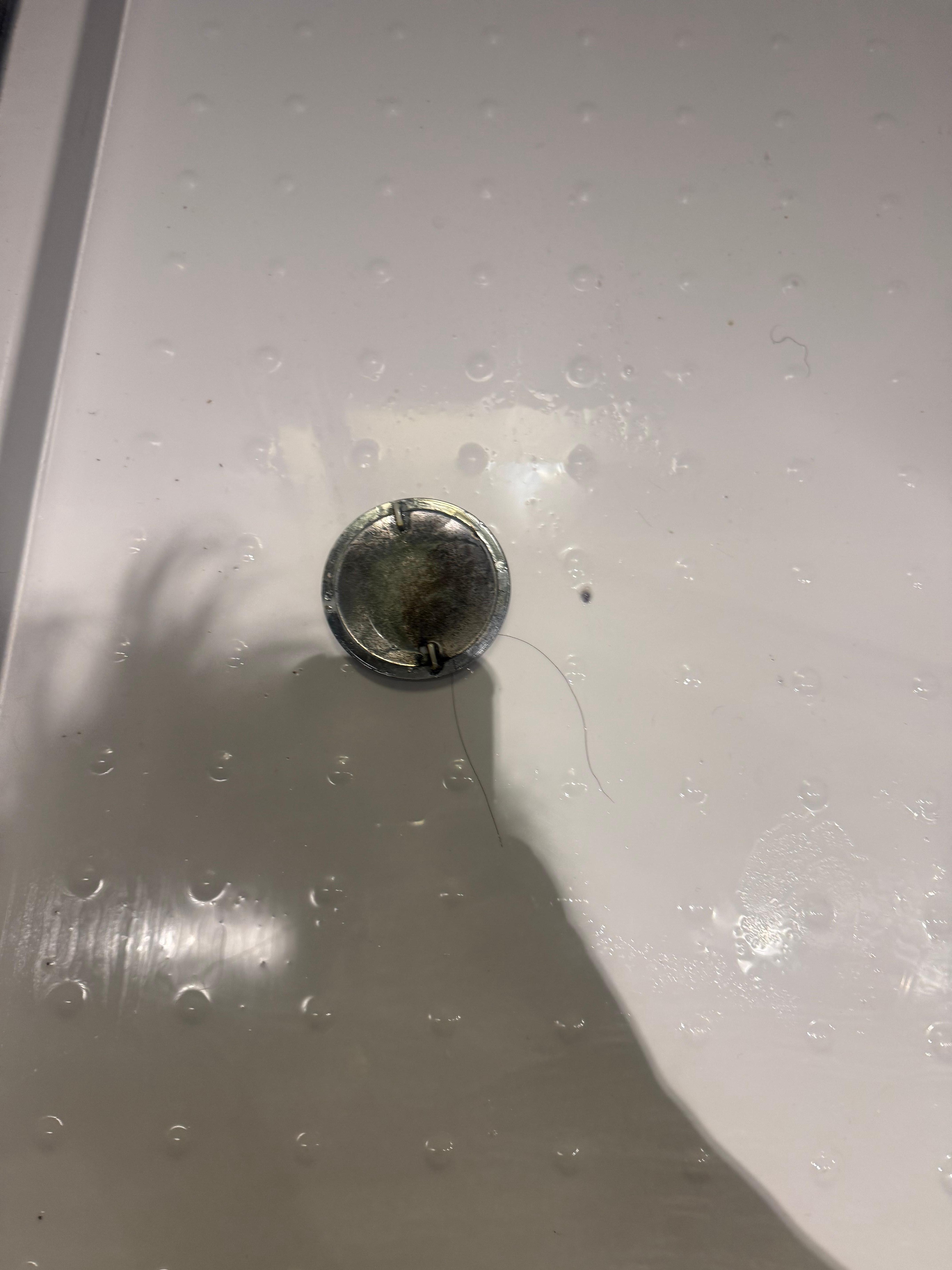 Hair and mildew 