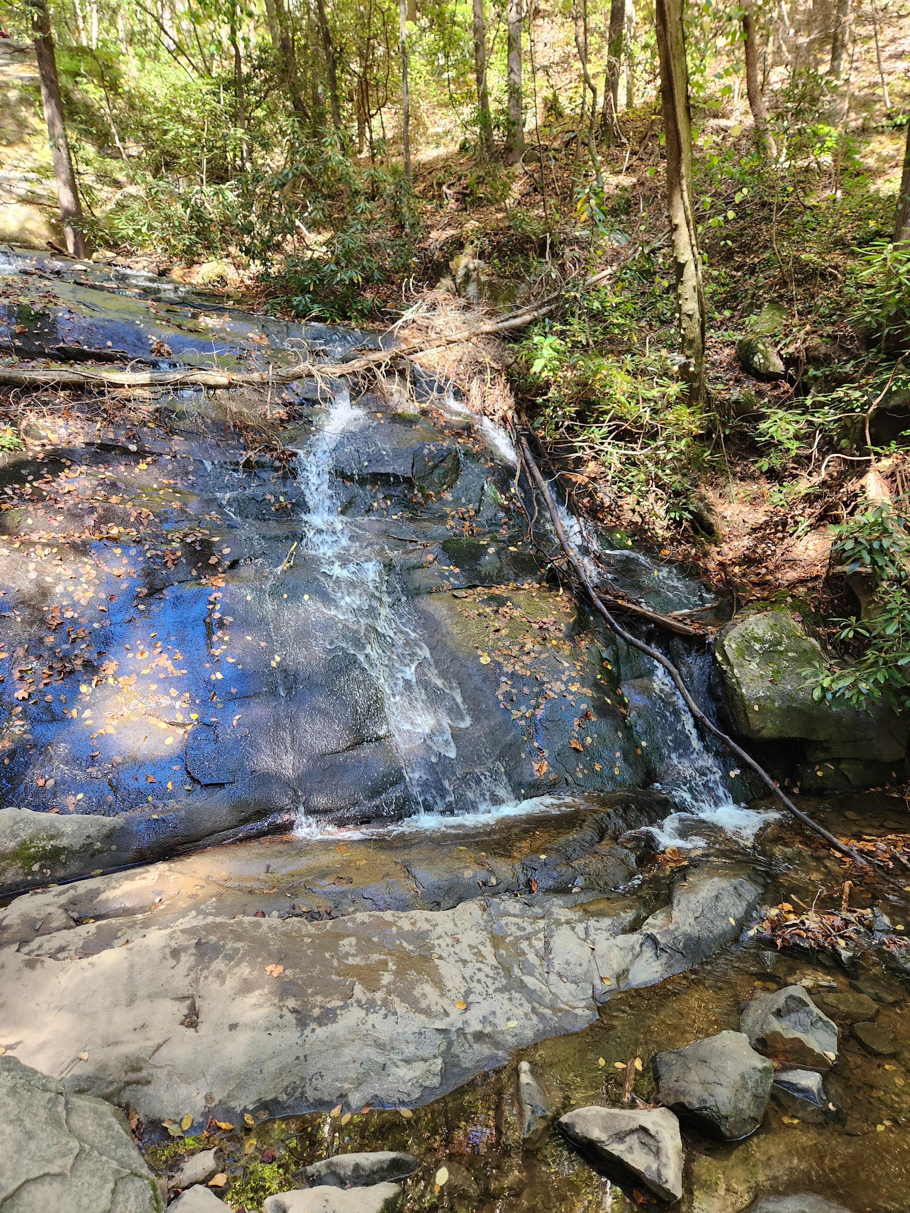 Fall Branch Falls