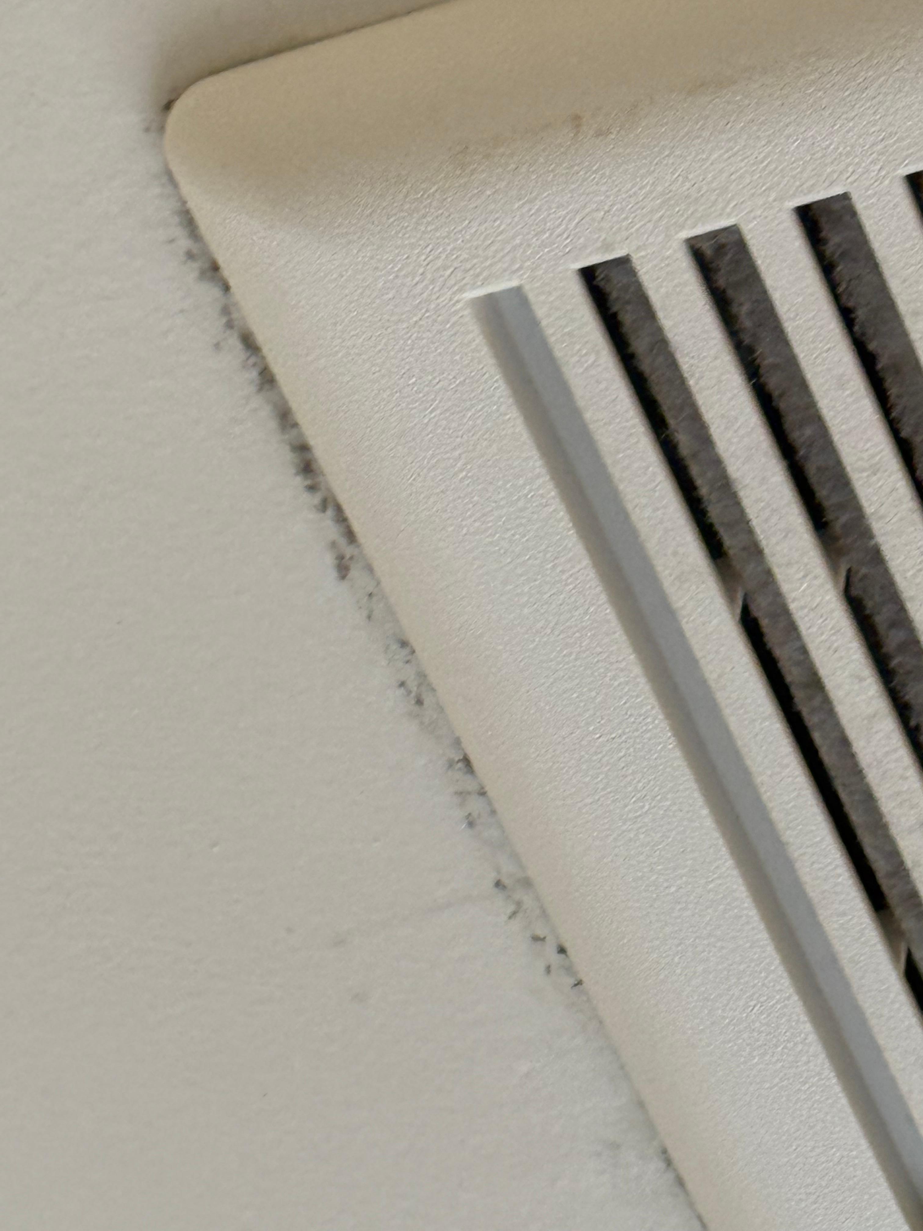 Mold on ceiling of bathroom