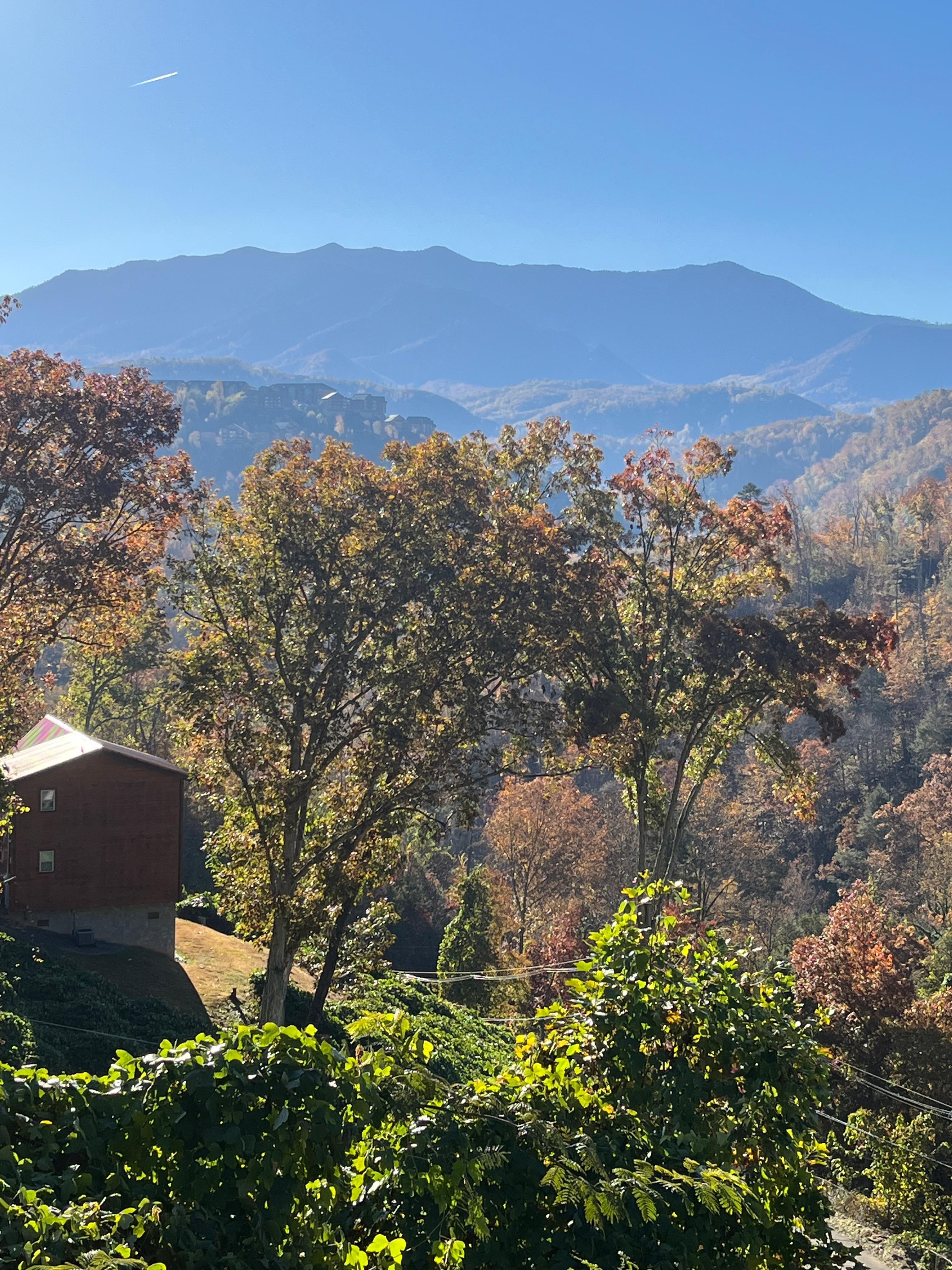View from back deck.