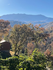 View from back deck.