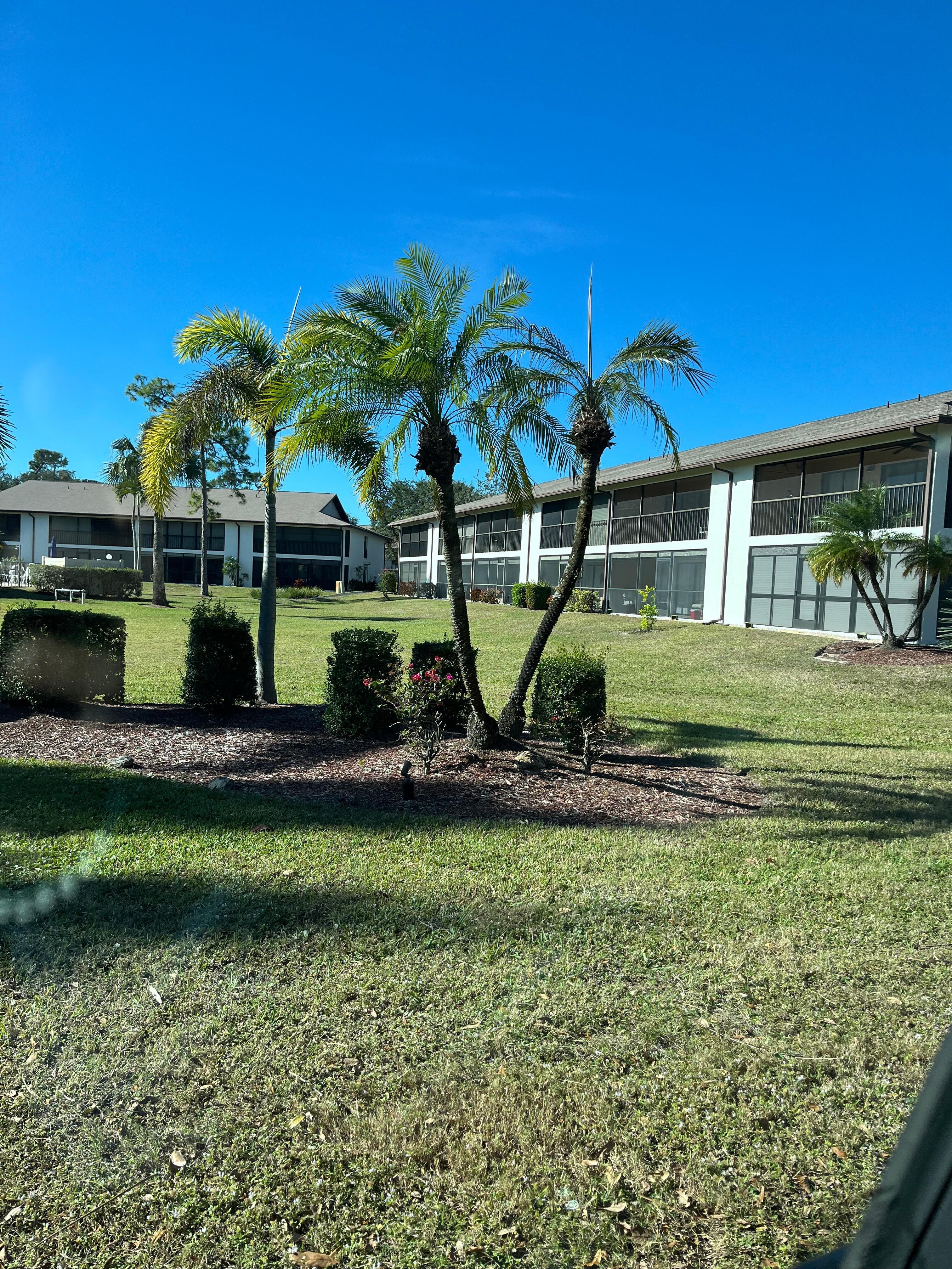 Lanai side of condo. I walked everyday in this neighborhood. Felt safe.