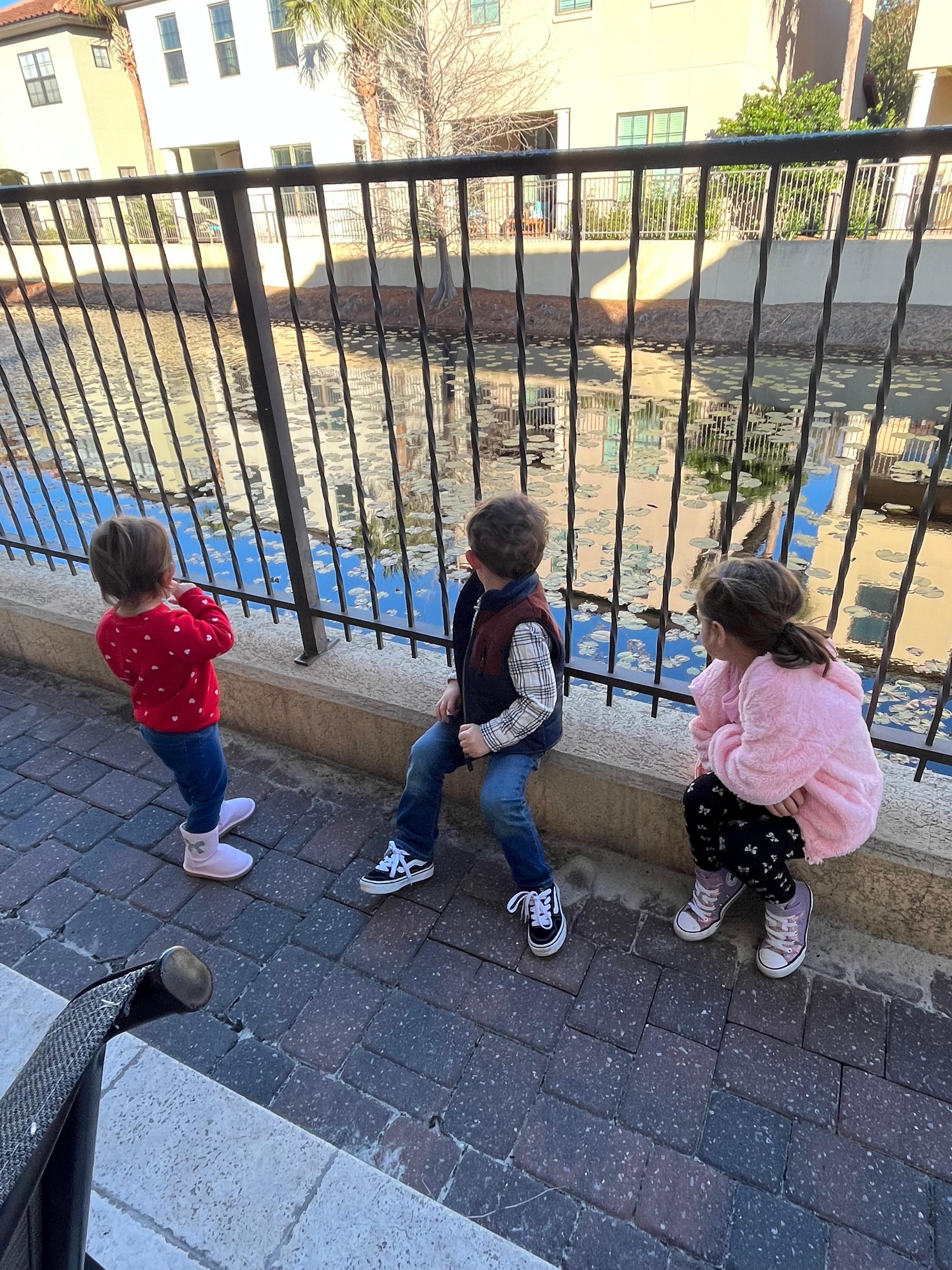 View from back patio. 