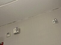 Mold and mildew