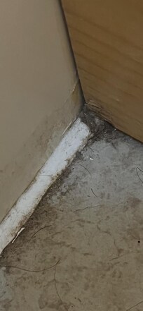 Master bath floor filthy
